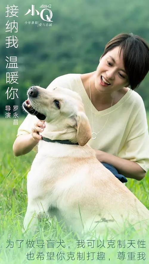 韩国梨花女子大学硕士毕业证